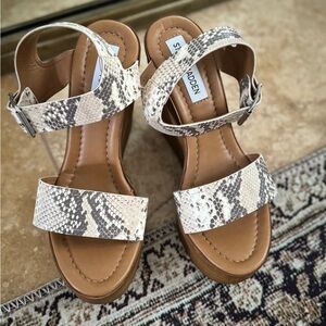Steve Madden snake skin wedges